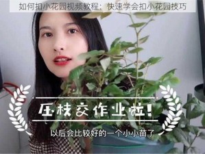 如何扣小花园视频教程：快速学会扣小花园技巧