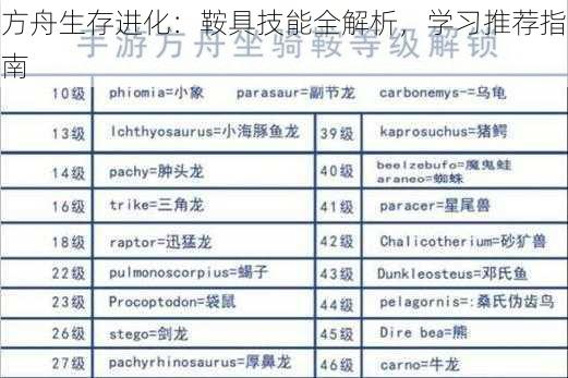 方舟生存进化：鞍具技能全解析，学习推荐指南