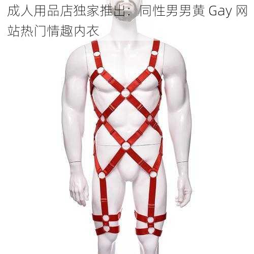 成人用品店独家推出：同性男男黄 Gay 网站热门情趣内衣